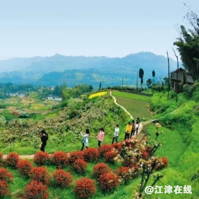 ?url=http%3A%2F%2Fdingyue.ws.126.net%2F2023%2F0217%2Fb04d93e0j00rq6skg001mc000hs00hsg.jpg