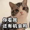 93e648f9c8afabb44581d87bd607e109.gif