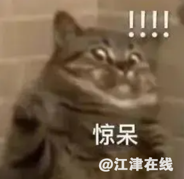 af8446c946d7cebd81eb6d0451d915cf.png