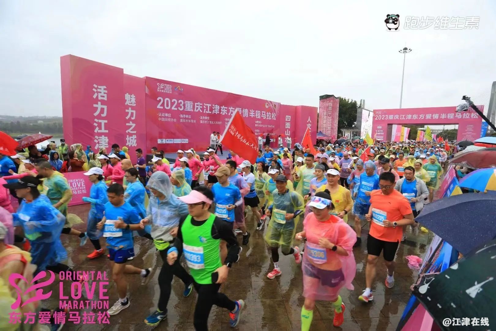 c8e4720c702bff192a1aa092ec35071f.jpg