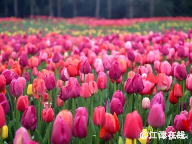 watermark,bucket_baidu-rmb-video-cover-1,image_YmpoL25ld3MvNjUzZjZkMjRlMDJiNjdjZWU1NzEzODg0MDNhYTQ0YzQucG5n,type_RlpMYW5UaW5nSGVpU01HQg==,w_17,text_QOWNjum-mee9kQ==,size_17,x_13,y_13,interval_2,color_FFFFFF,effect_softoutline,shc_000000,blr_2,align_1.jpg