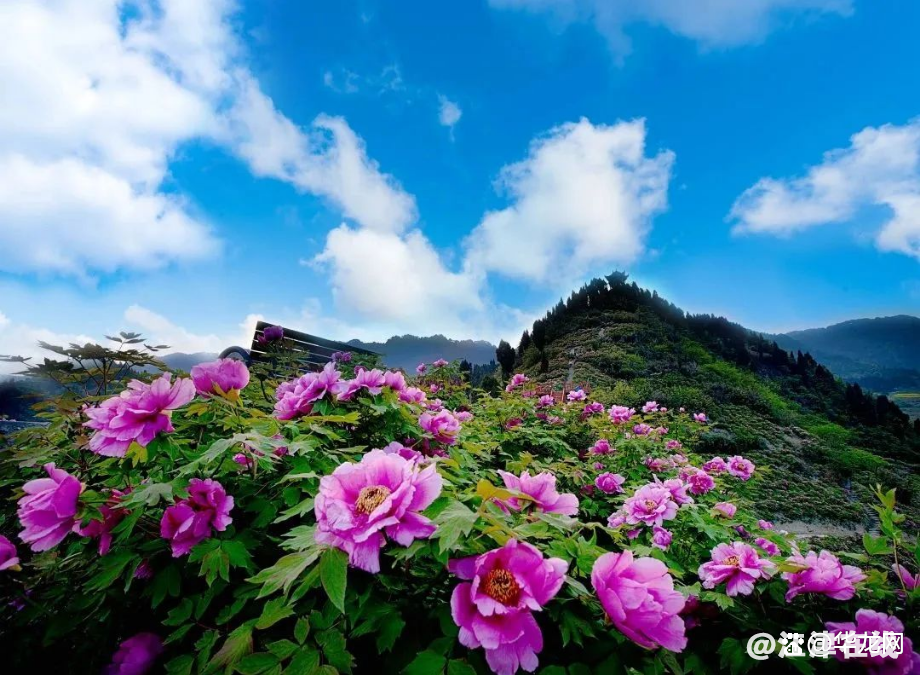 watermark,bucket_baidu-rmb-video-cover-1,image_YmpoL25ld3MvNjUzZjZkMjRlMDJiNjdjZWU1NzEzODg0MDNhYTQ0YzQucG5n,type_RlpMYW5UaW5nSGVpU01HQg==,w_24,text_QOWNjum-mee9kQ==,size_24,x_18,y_18,interval_2,color_FFFFFF,effect_softoutline,shc_000000,blr_2,align_1.jpg