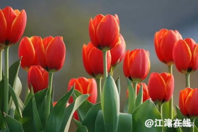 watermark,bucket_baidu-rmb-video-cover-1,image_YmpoL25ld3MvNjUzZjZkMjRlMDJiNjdjZWU1NzEzODg0MDNhYTQ0YzQucG5n,type_RlpMYW5UaW5nSGVpU01HQg==,w_17,text_QOWNjum-mee9kQ==,size_17,x_13,y_13,interval_2,color_FFFFFF,effect_softoutline,shc_000000,blr_2,align_1.jpg