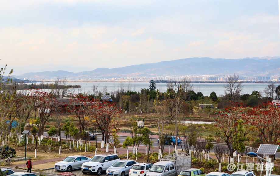 IMG_3194副本副本.jpg