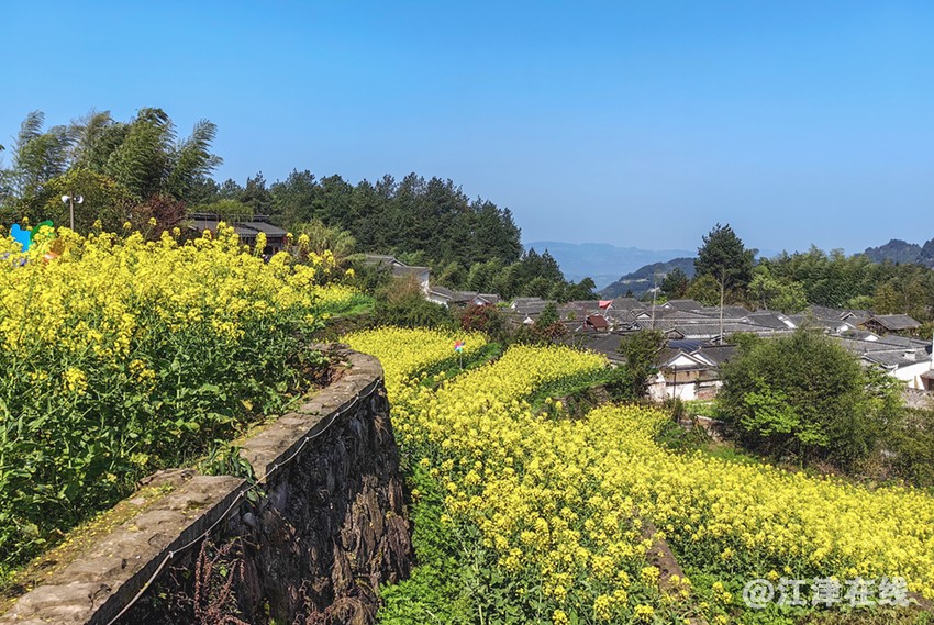 IMG_20230401_100701副本副本.jpg
