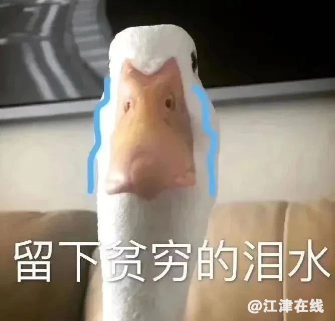 c2b14605c657e8ae9bb50793c9864dde.jpg