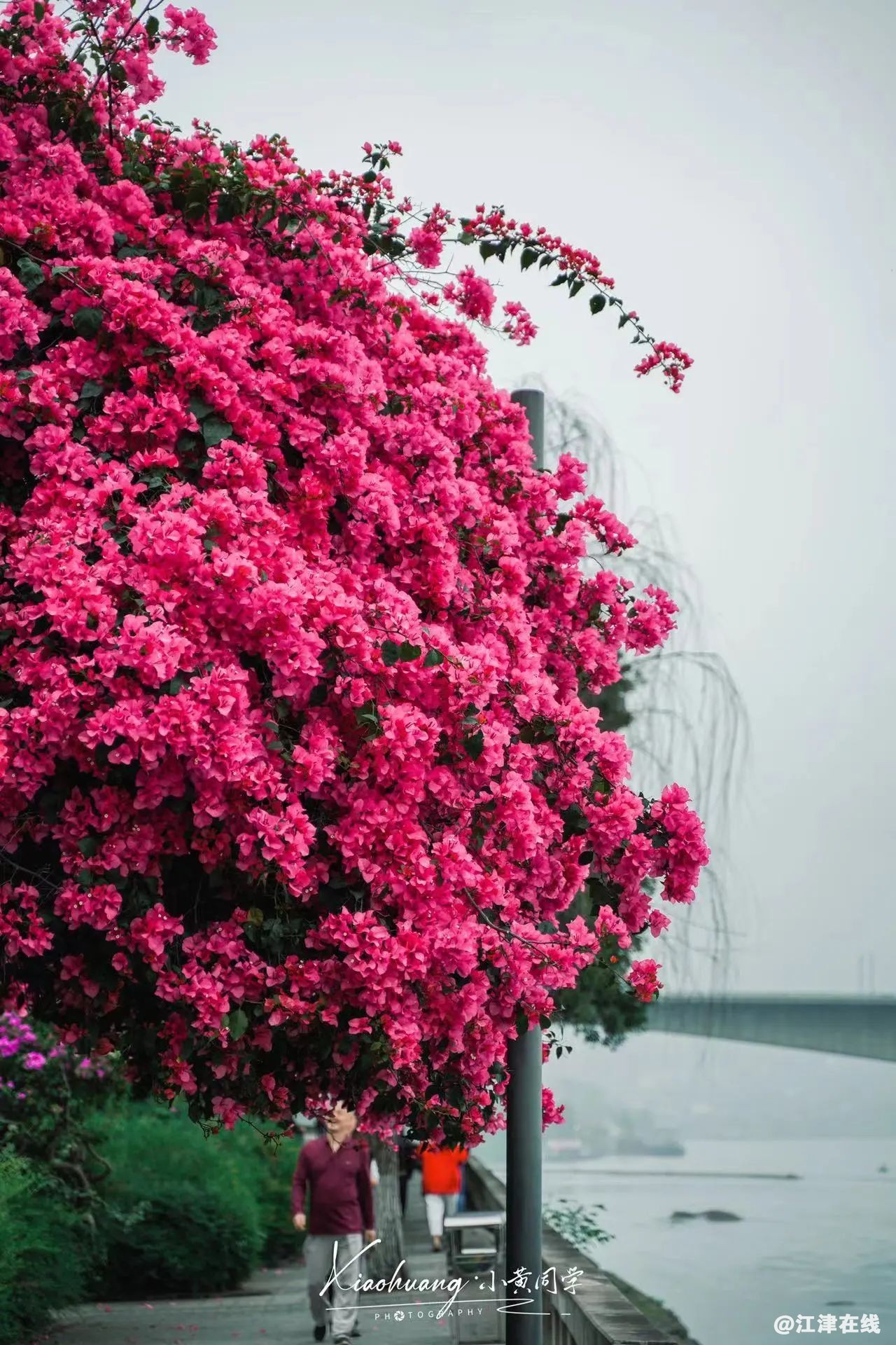 99bb9ecc5efb39bdadf920f3c54acd78.jpg
