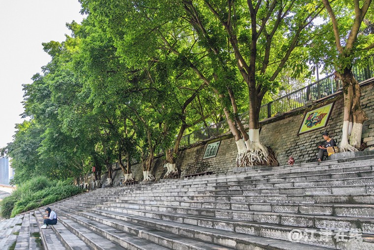 江岸风光 (12).jpg