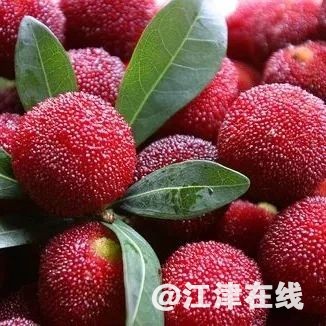 f52d3db324574acc05ac45212fbbe5f5.jpg