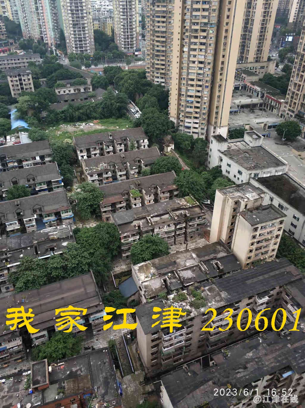 JYZ 20230601 WB (14).jpg