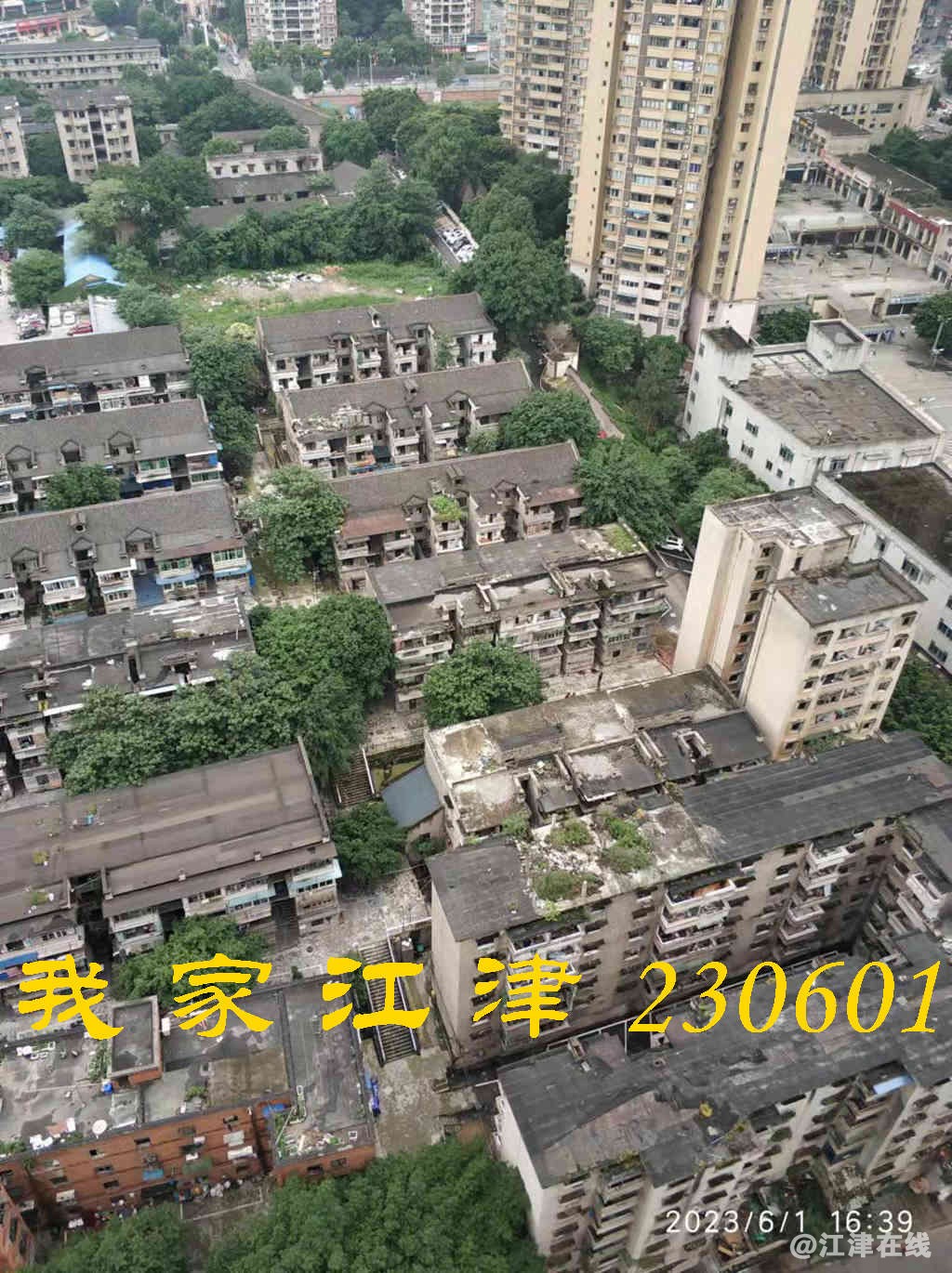 JYZ 20230601 WB (18).jpg