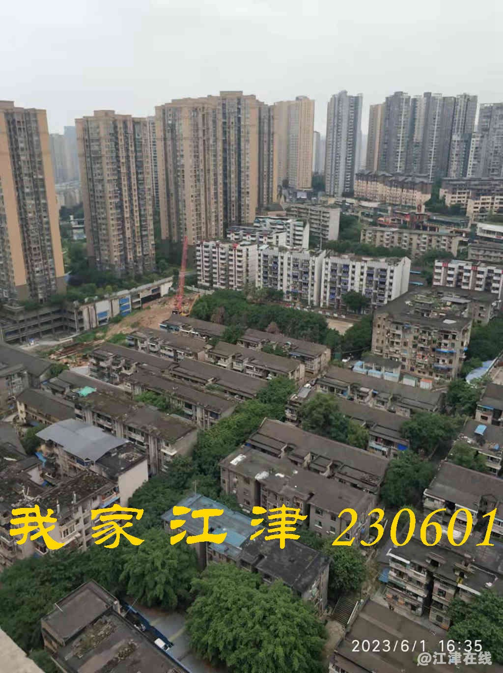 JYZ 20230601 WB (22).jpg