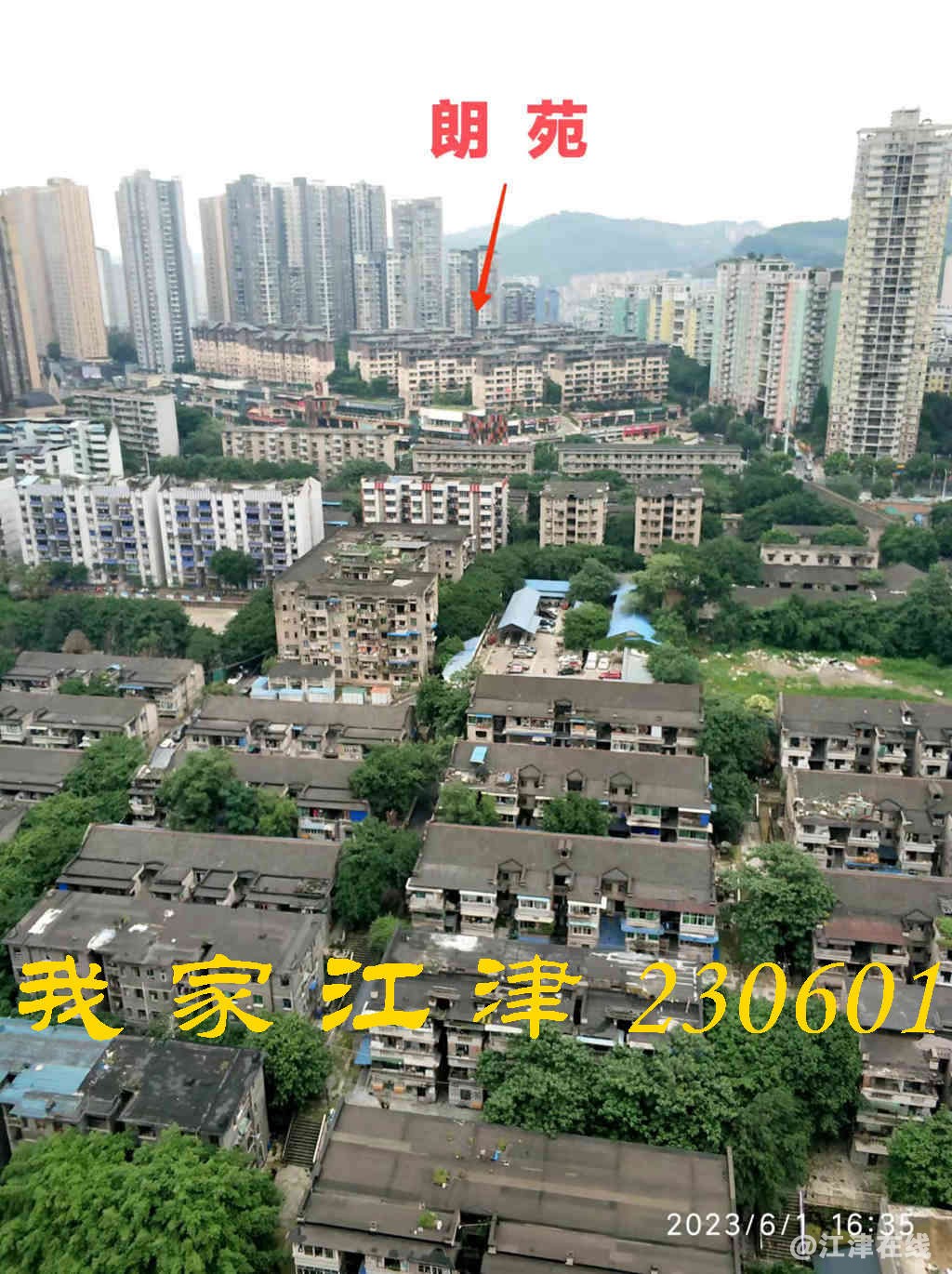 JYZ 20230601 WB (24).jpg