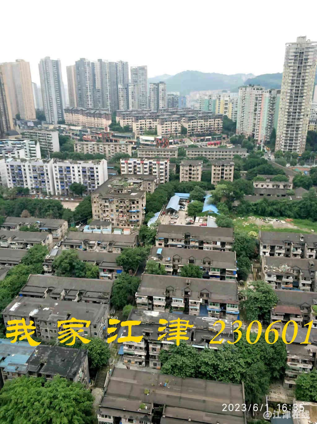 JYZ 20230601 WB (25).jpg