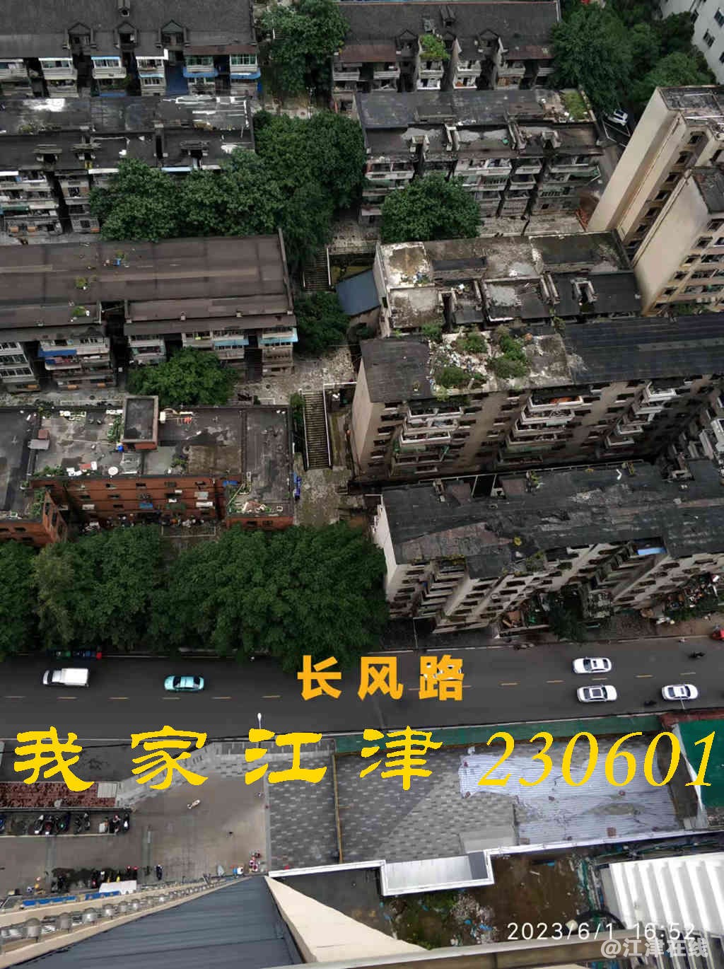 JYZ 20230601 WB (13).jpg