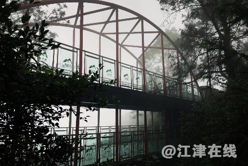 F6A07F18-3DBD-4719-B4DB-B0AE996D9CE2.jpeg