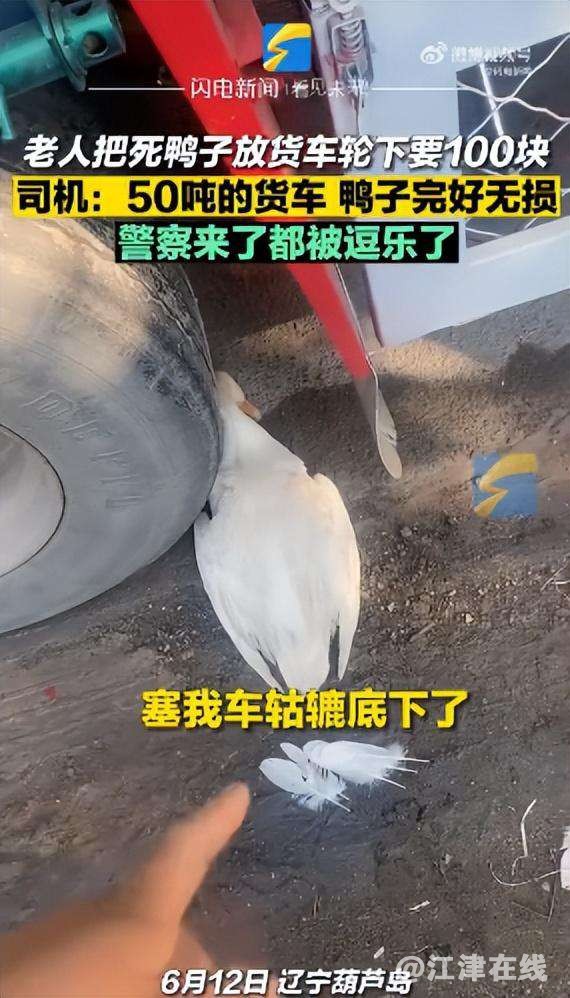 20230614104847front2_0_421787_FuD626iAxtsNaLCy0diM3BY06UI6.jpg