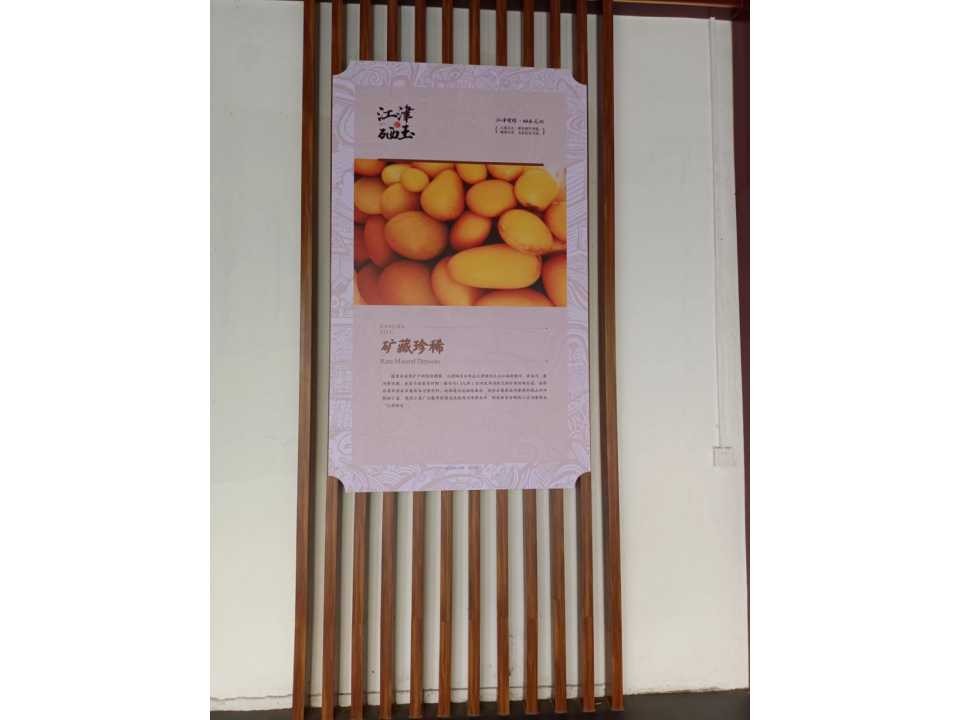 矿产珍稀.jpg