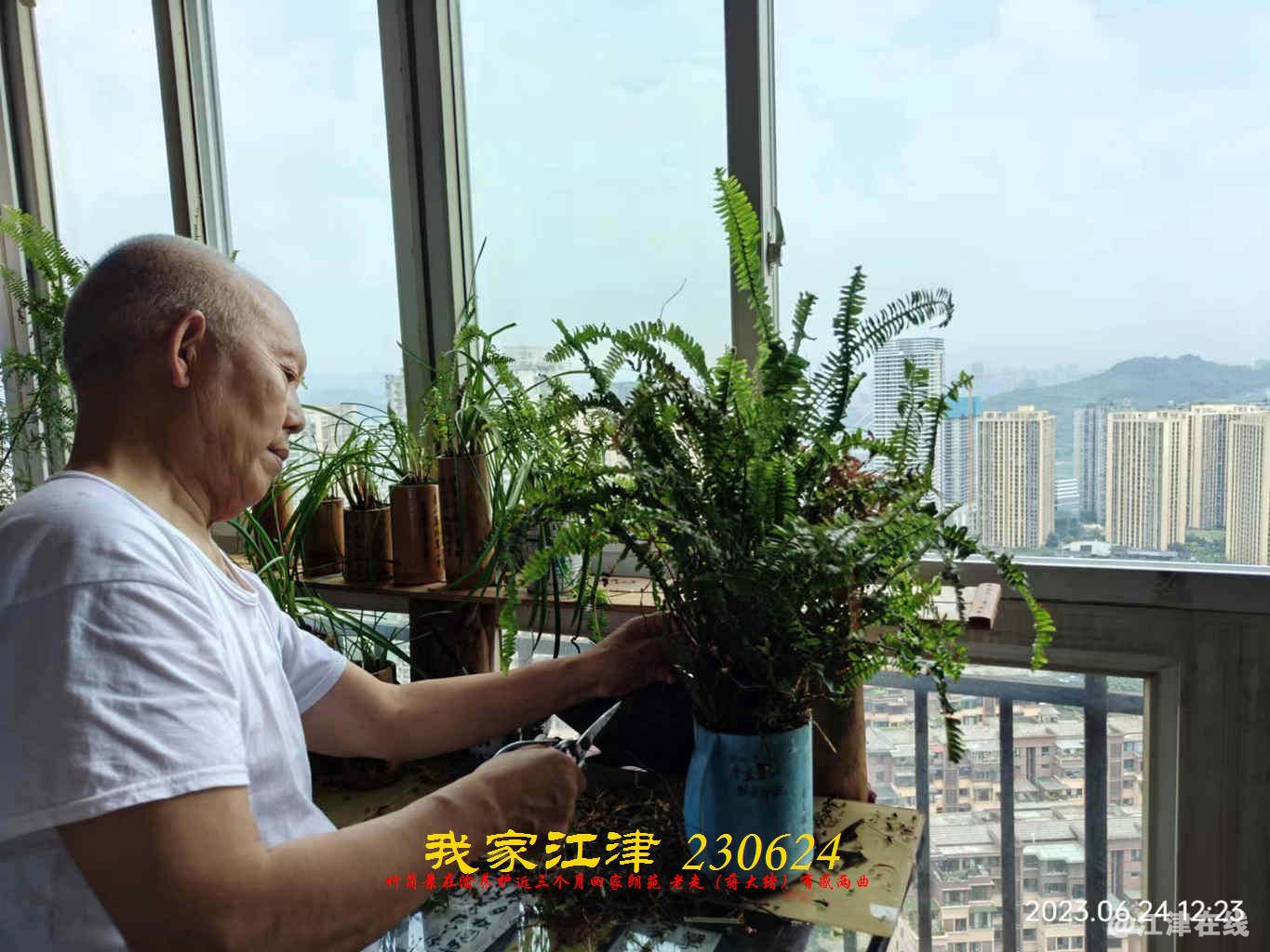 JYZ 20230624 WBQ (11).jpg
