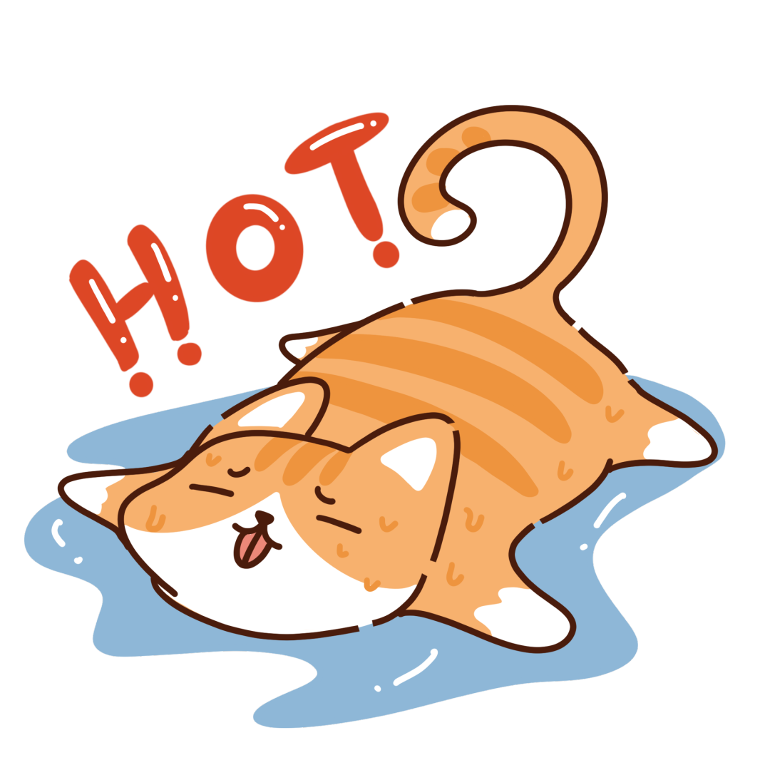 31c9d01e57d4725a531dedcf15855c52.png