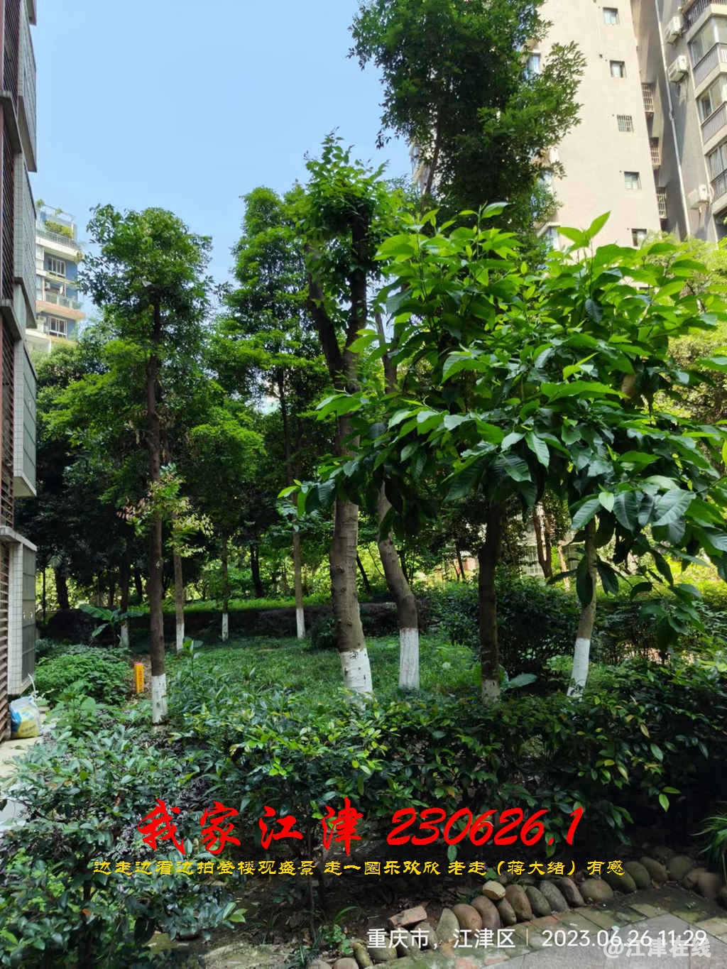 JYZ 20230626.1 WBQ (127).jpg