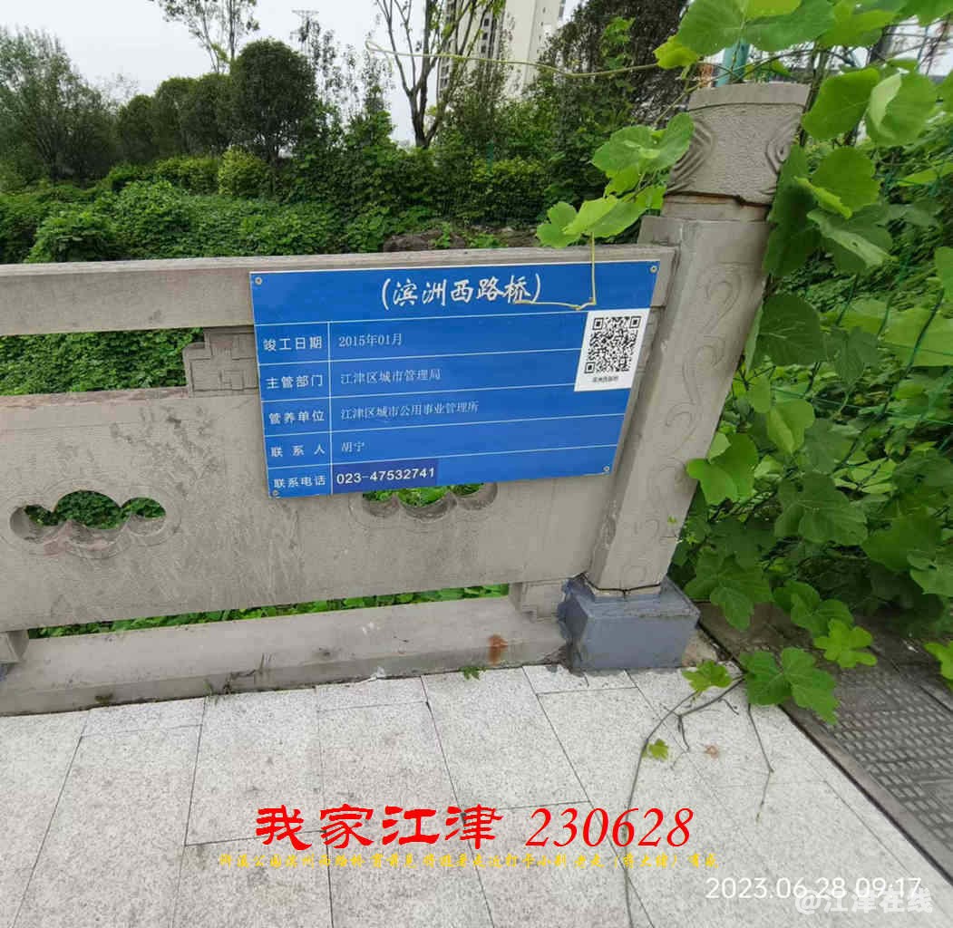 JYZ 20230628 WBQ (15).jpg