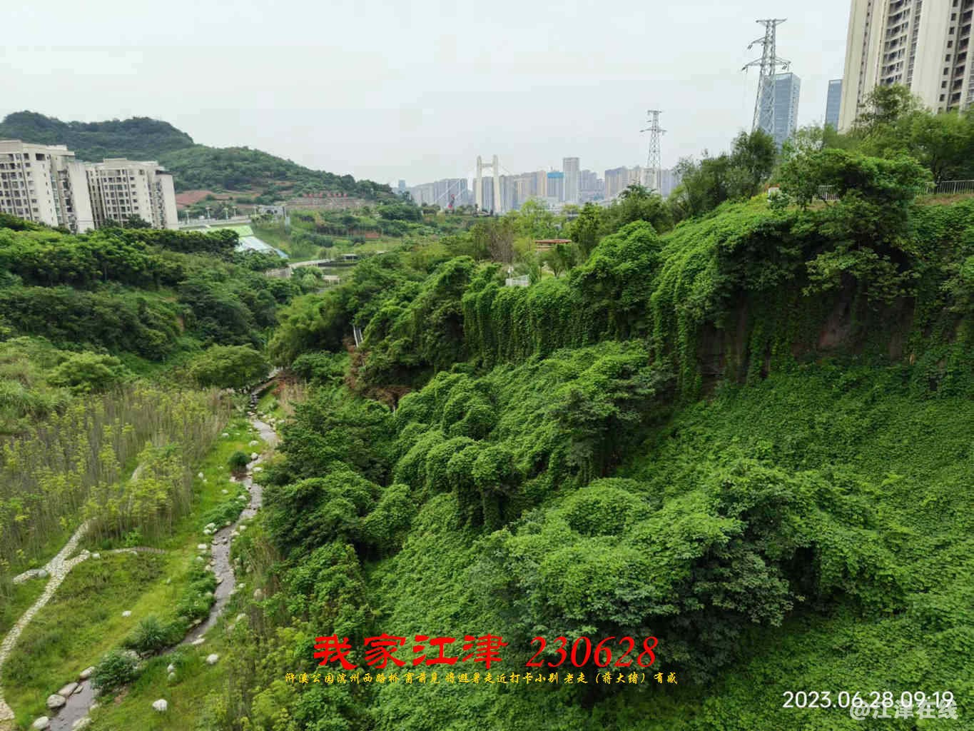 JYZ 20230628 WBQ (18).jpg