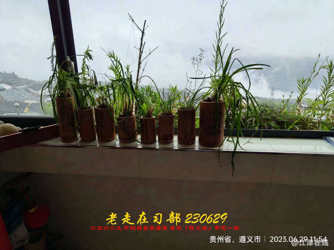 JYZ  20230629 YBQ (15).jpg
