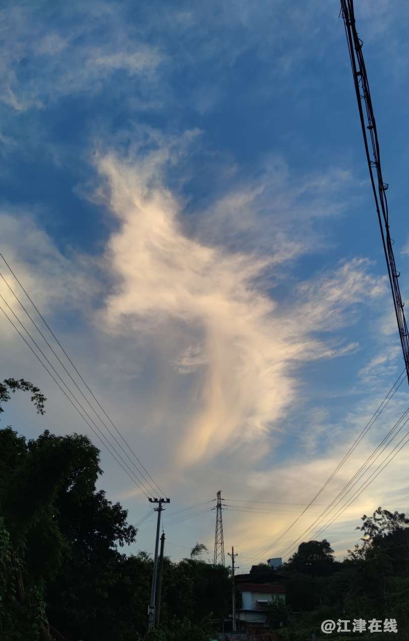 20230721200030front2_0_254487_FgygMy7F69fWFgYZzs46i7ZVB_VQ.jpg