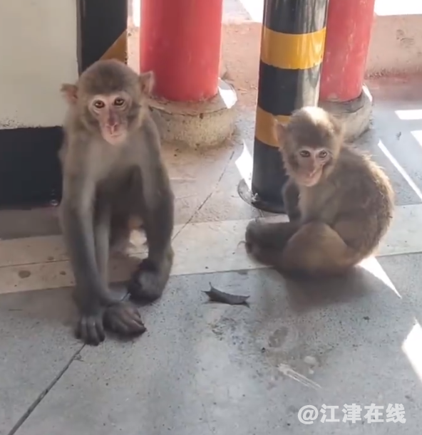 微信截图_20230725084559.png