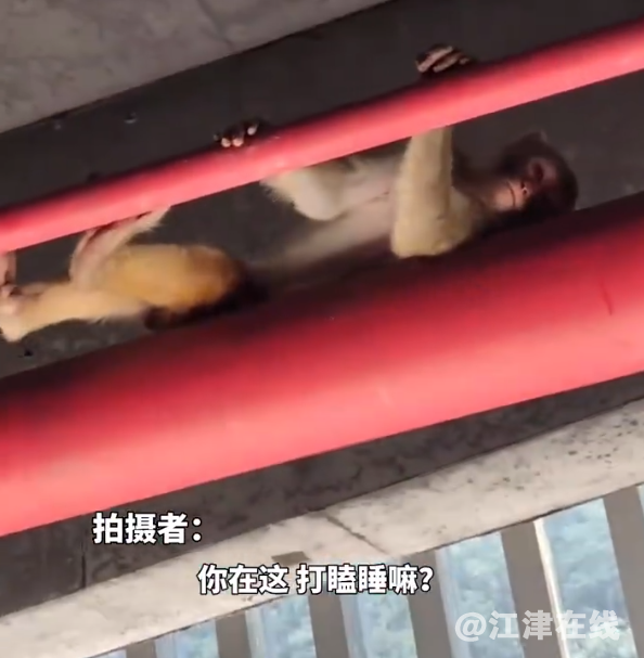 微信截图_20230725084543.png