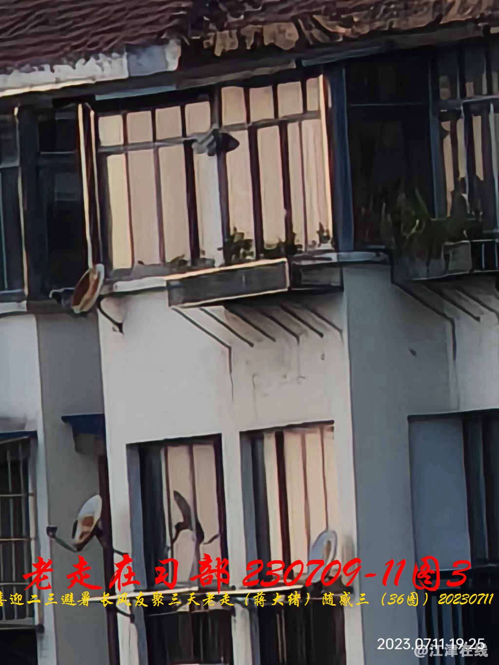 JYZ 20230709-11 T3 WBQ (11).jpg