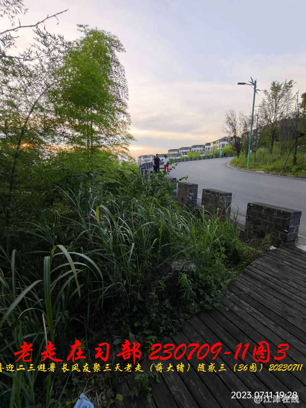 JYZ 20230709-11 T3 WBQ (13).jpg