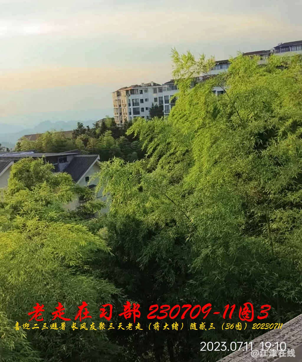 JYZ 20230709-11 T3 WBQ (22).jpg