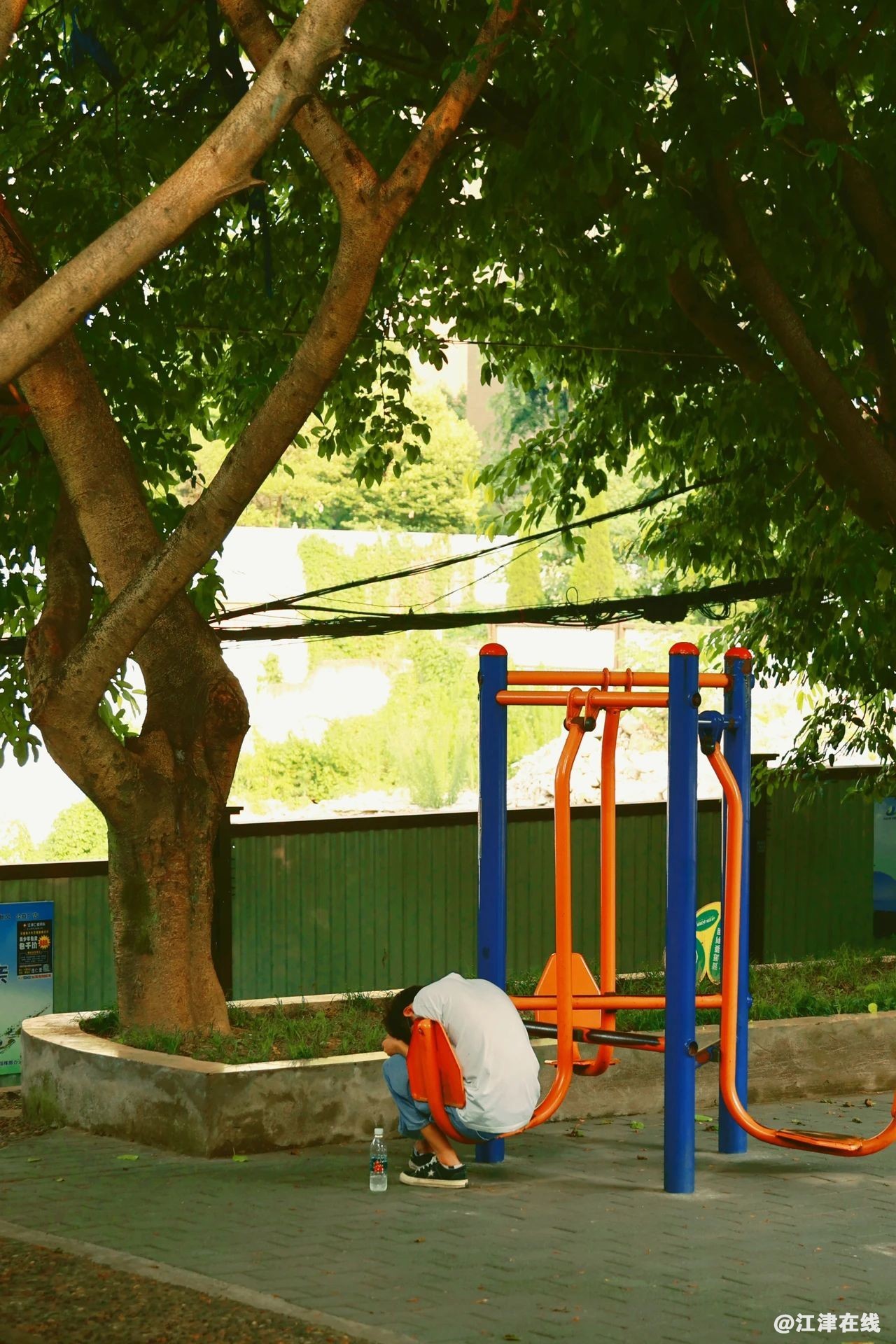 51ec149c5b4b620095e14f07542a026a.jpg