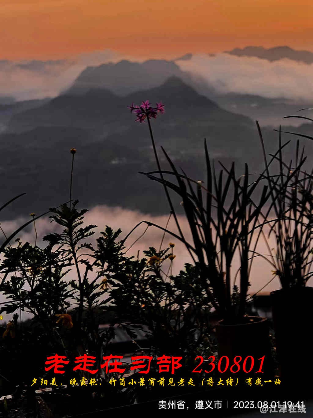 JYZ 20230801 WBQ (14).jpg