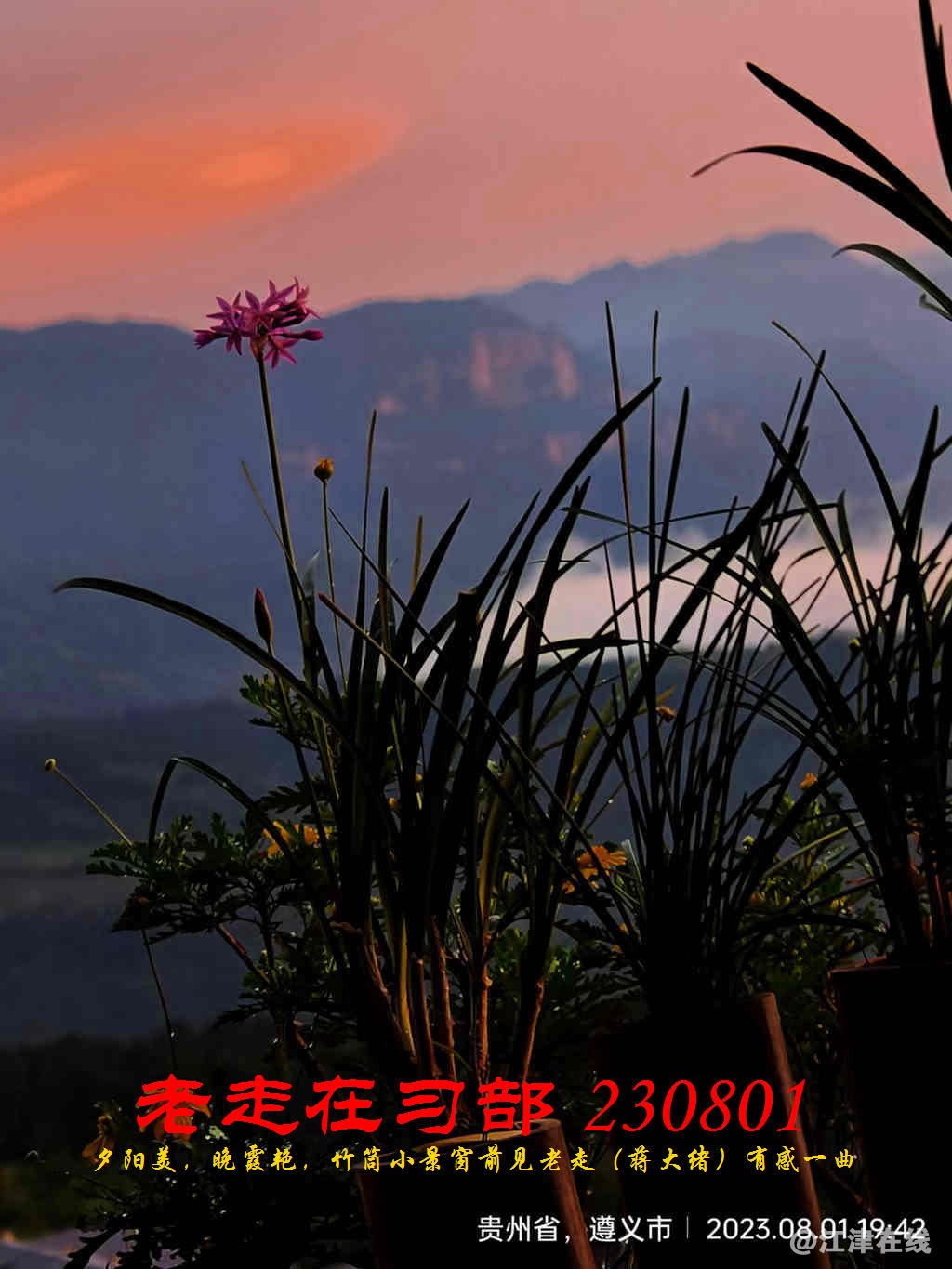 JYZ 20230801 WBQ (18).jpg