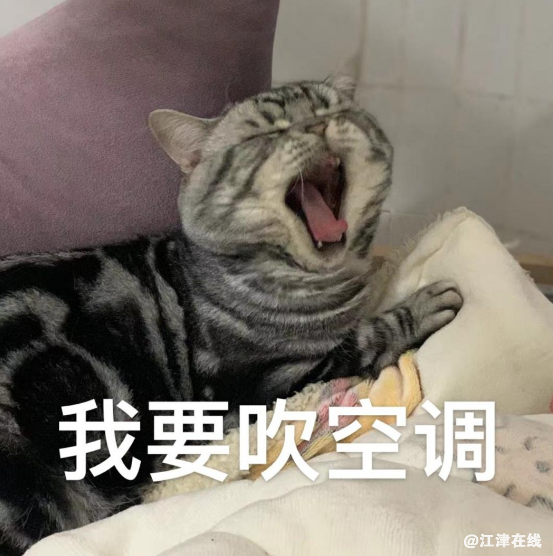 df0c2ae13f6b2a2a5a8d4c21576ddeb0.png