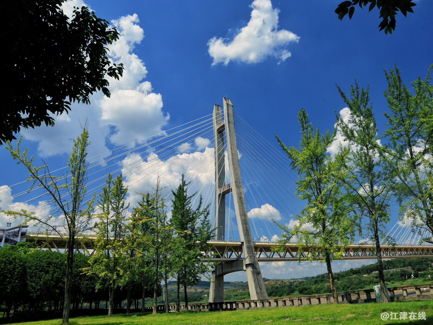 20230815155252front1_0_35589_FgSuVIV-ITL4T56zI6mYLwoEpPlG.jpg