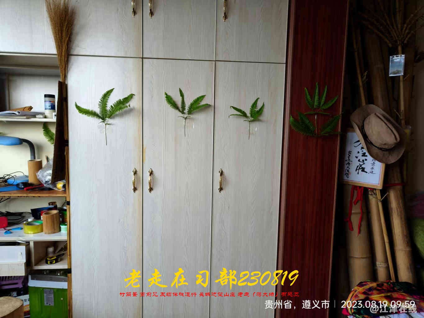 JYZ 20230819 WBQ (23).jpg