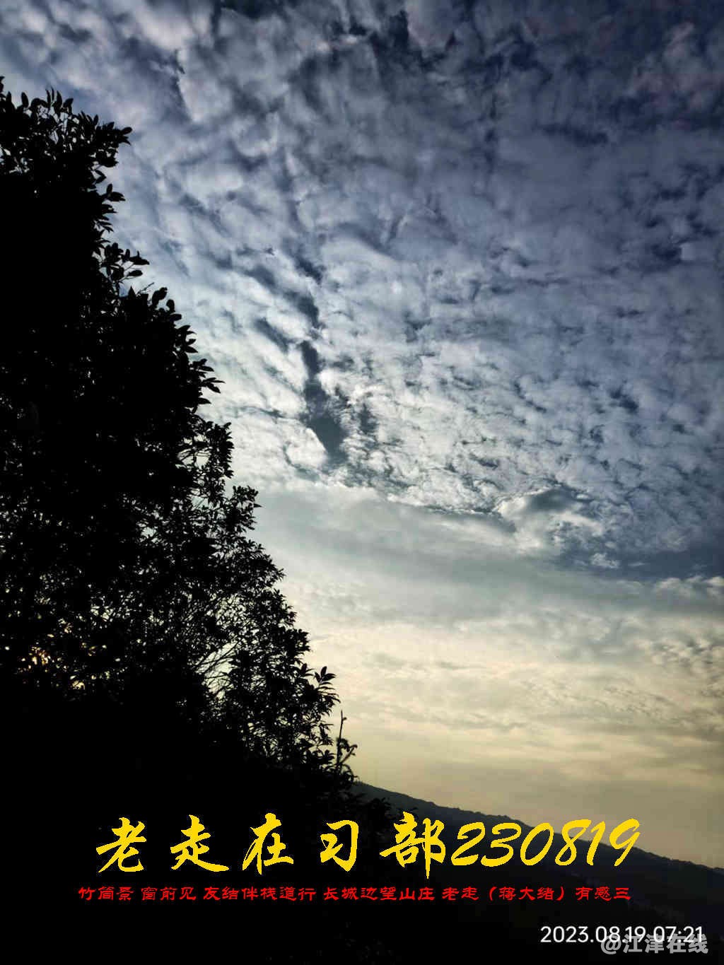 JYZ 20230819 WBQ (19).jpg
