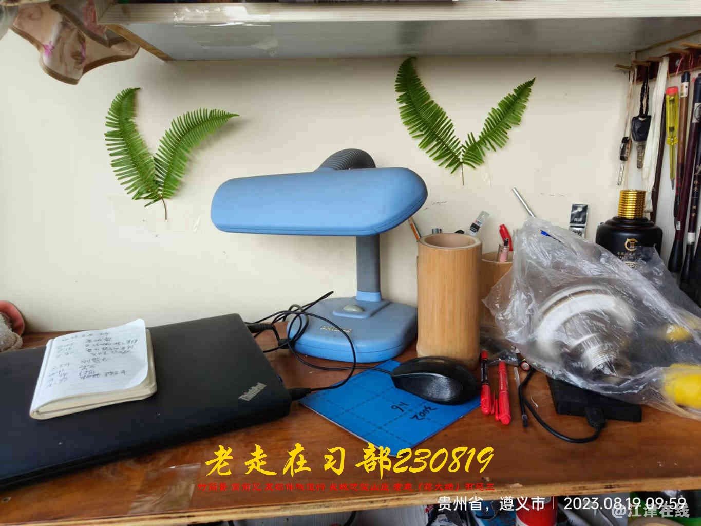 JYZ 20230819 WBQ (22).jpg