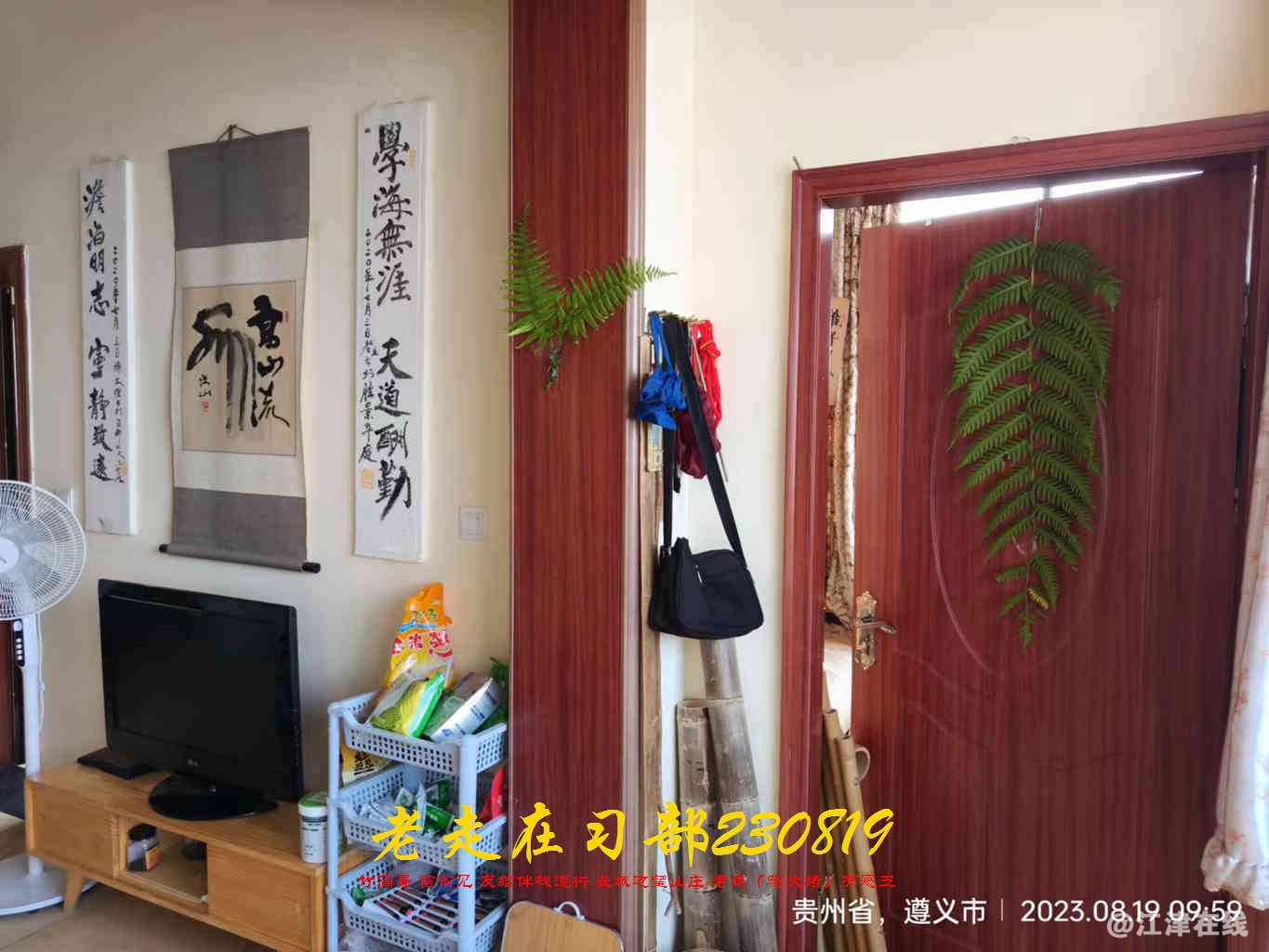 JYZ 20230819 WBQ (24).jpg