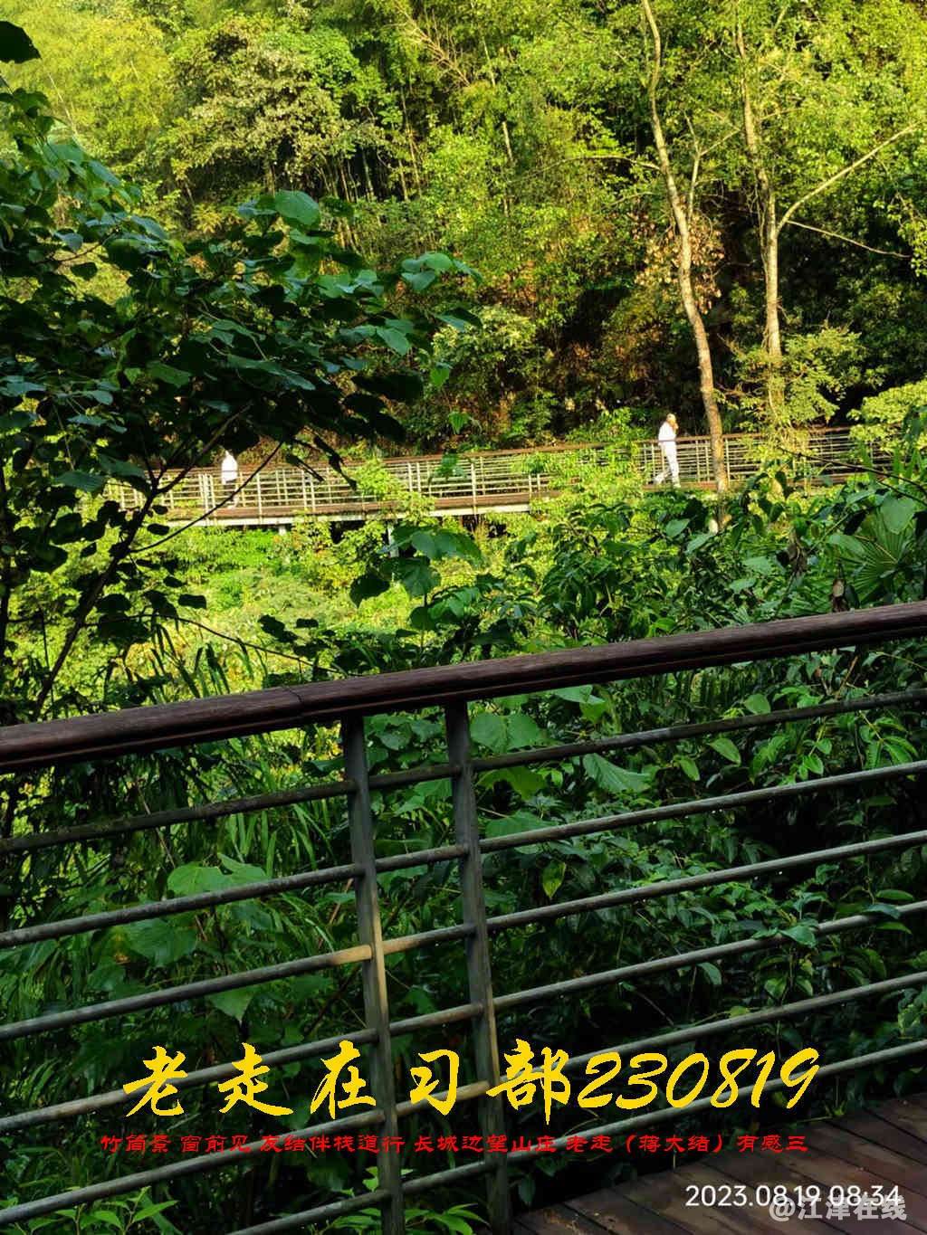 JYZ 20230819 WBQ (34).jpg