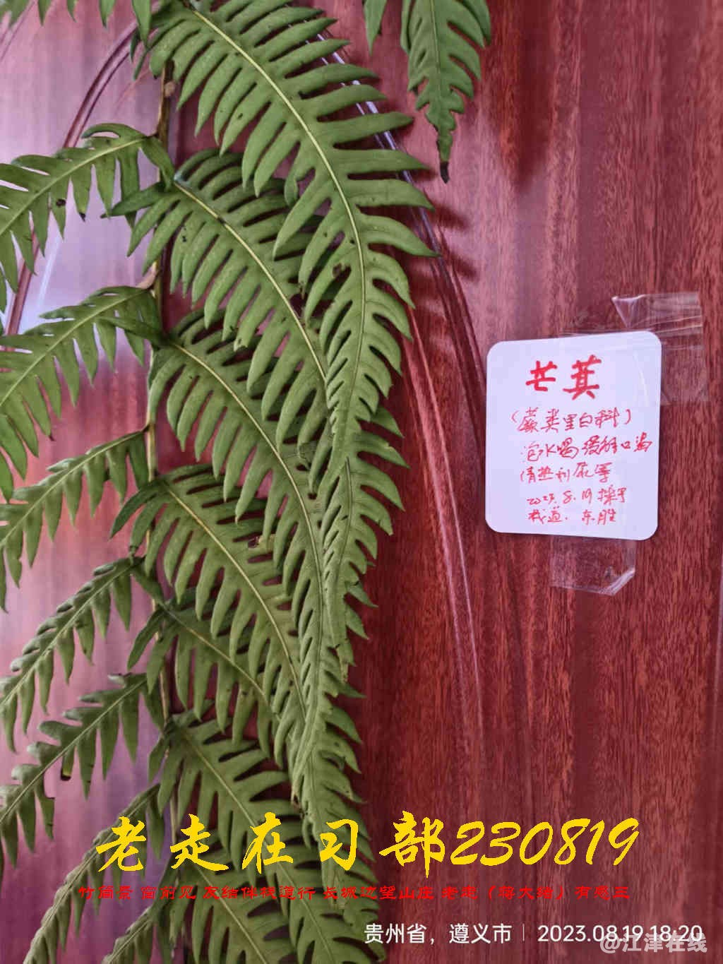 JYZ 20230819 WBQ (60).jpg