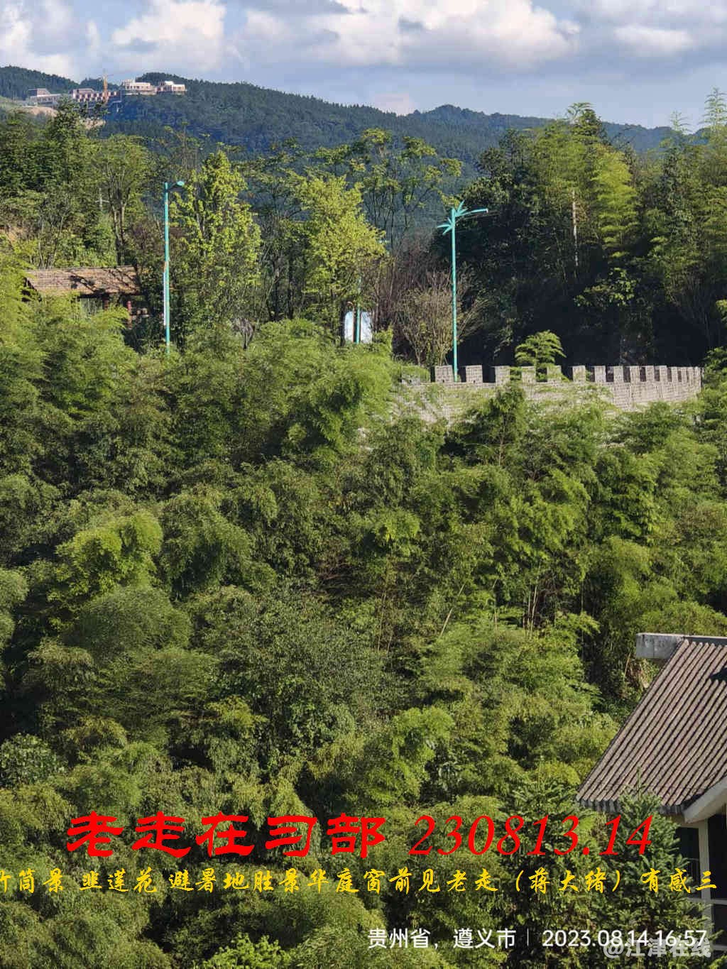 JYZ 20230813.14 WBQ (82).jpg