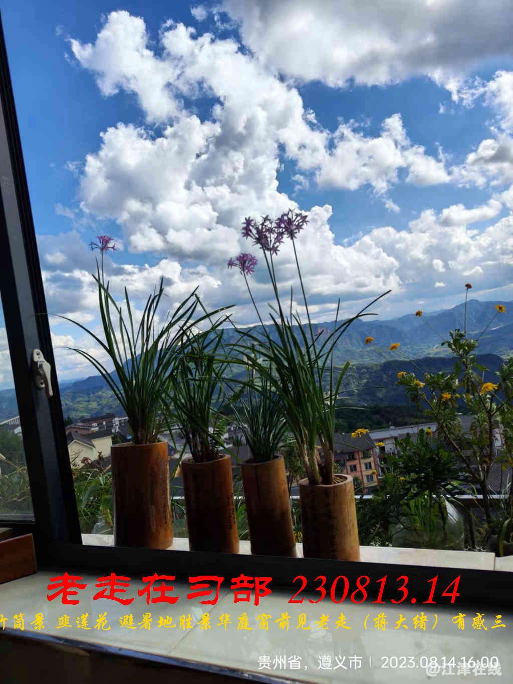JYZ 20230813.14 WBQ (92).jpg
