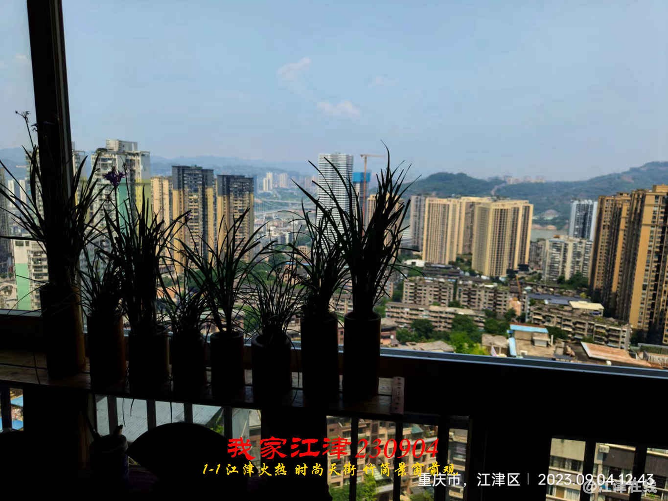 JYZ 20230904 WBQ1-1 (14).jpg