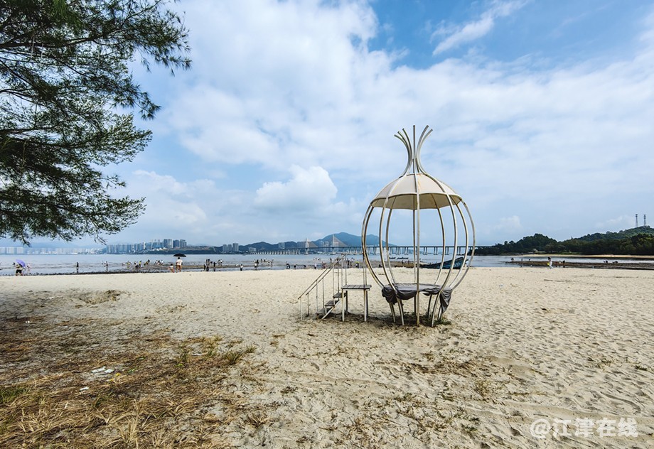 赶海 (4).jpg