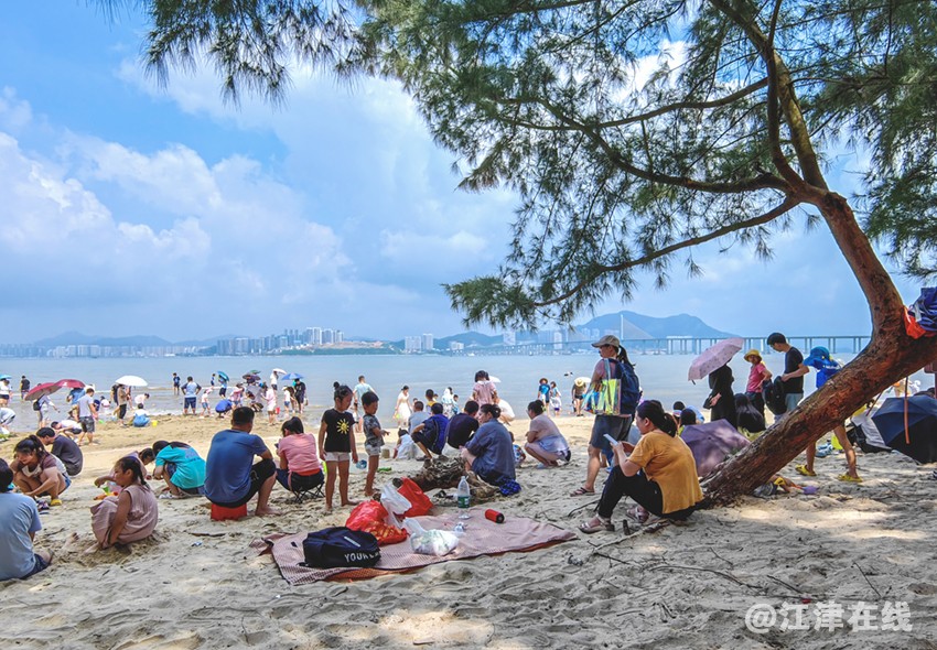 赶海 (7).jpg